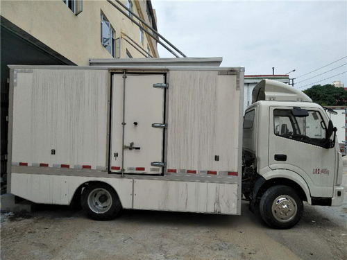 神陽(yáng)新能源 增城智造，以安全可靠定義小型物流車(chē)新標(biāo)桿